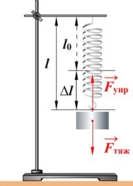 Лабораторная работа "Изучение зависимости растяжения (деформации) пружины от приложенной силы"