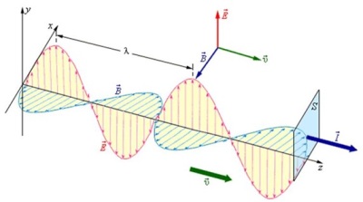 Электромагнитная волна поперечна